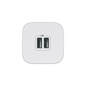 Двойная USB-розетка для зарядки смартфонов Legrand Valena Allure, Белый